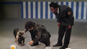 Episodio 5