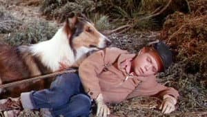 Lassie's Greatest Adventure — foto 1