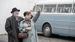 Pacsirta — foto 1