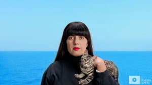 Kitten of vluchteling? — foto 4