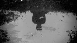 Narcissus — foto 1