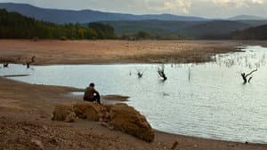El peral silvestre — foto 4