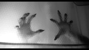 They Live on Top — foto 9