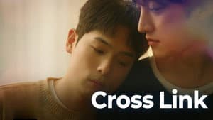 크로스 링크 — foto 1