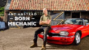 Ant Anstead: A Todo Motor — foto 4