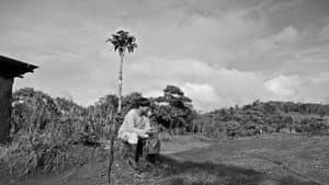 Phantosmia — foto 5