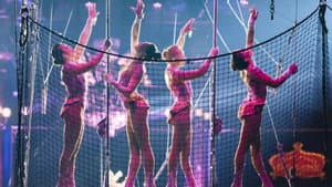 Spectaculaire : Cirque d'Hiver Bouglione — foto 1