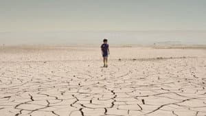 Estrellas del Desierto — foto 1
