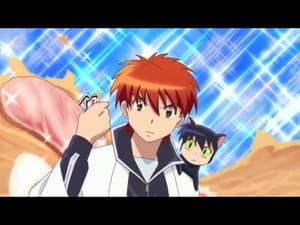 Episodio 24