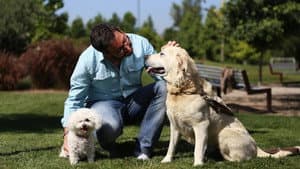 Amores perros — foto 1