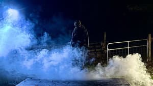 Harvest of Horrors — foto 11