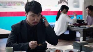 도둑냥 — foto 3