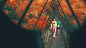 非诚勿扰 3 — foto 4