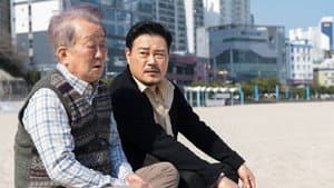 장인과 사위 — foto 1