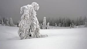 Winter am Alpenrand — foto 3