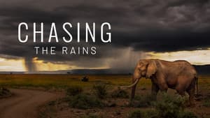 Chasing the Rains — foto 9