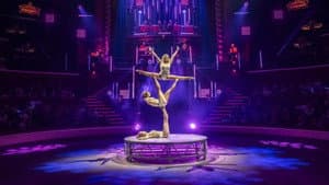 Délire au Cirque d'Hiver Bouglione de Paris — foto 8