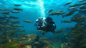 Las maravillas de Galápagos