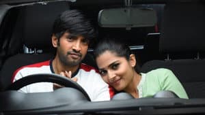 டிக்கிலோனா — foto 4