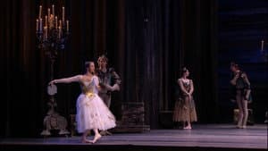 Tchaikovsky - Swan Lake (The Bolshoi Ballet Collection) — foto 9