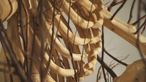 Hugh Hayden: Skeletons in the Swamp — foto 6