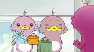 Episodio 8
