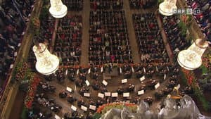 Neujahrskonzert der Wiener Philharmoniker 2011 — foto 1