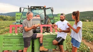 Episodio 7
