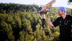 The Wild Life of Dr. Ole — foto 5