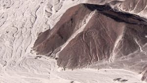 Las Líneas de Nasca — foto 3