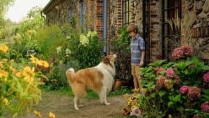 Lassie: Una nueva aventura — foto 3