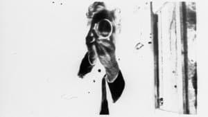 Instructions for a Light and Sound Machine — foto 2