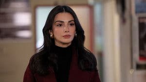 Episodio 13