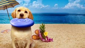 The Dog Who Saved Summer — foto 2