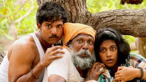 முந்திரிக்காடு — foto 3