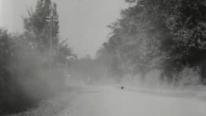 How It Feels to Be Run Over — foto 1