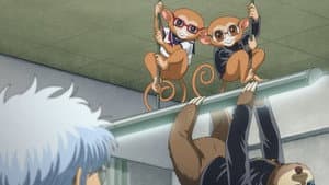Episodio 2