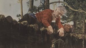 Lumberjack — foto 1