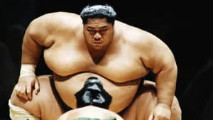 National Geographic: Inside Sumo's Ultimate Clash — foto 1