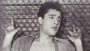 Dino — foto 2