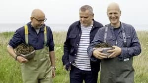 Episodio 6
