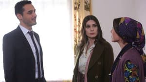 Episodio 19