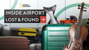 Inside Airport Lost & Found — foto 2