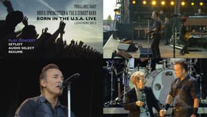 Bruce Springsteen & The E Street Band - Born in the U.S.A. Tour - Live in London 2013 — foto 1