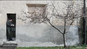 Fortezza — foto 1