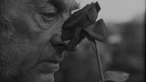 An Old Man's Tear — foto 2
