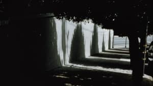 Arbor Vitae — foto 6