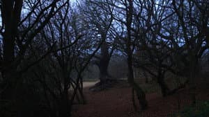 Sideworld: Haunted Forests of England — foto 2