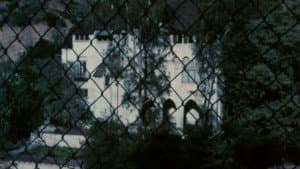 Mania — foto 5