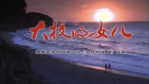 大校的女儿 — foto 1